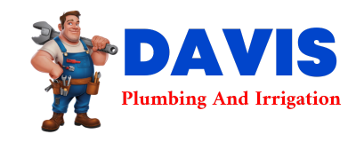 Trusted plumber in WALTERBORO